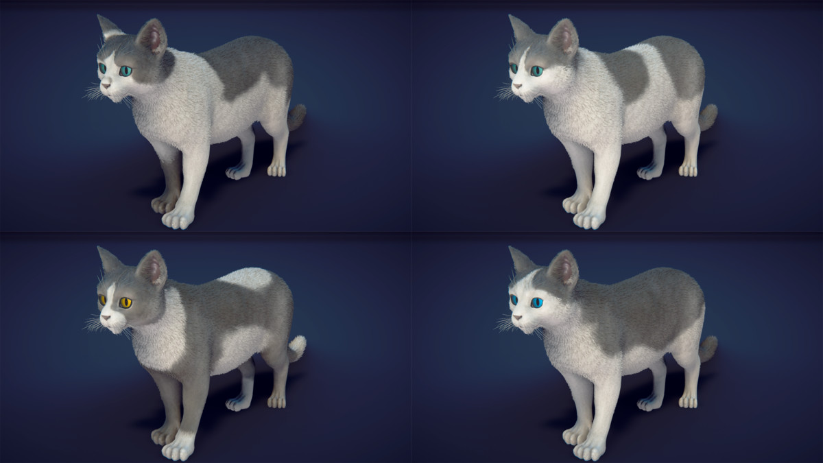 Milo the Cat