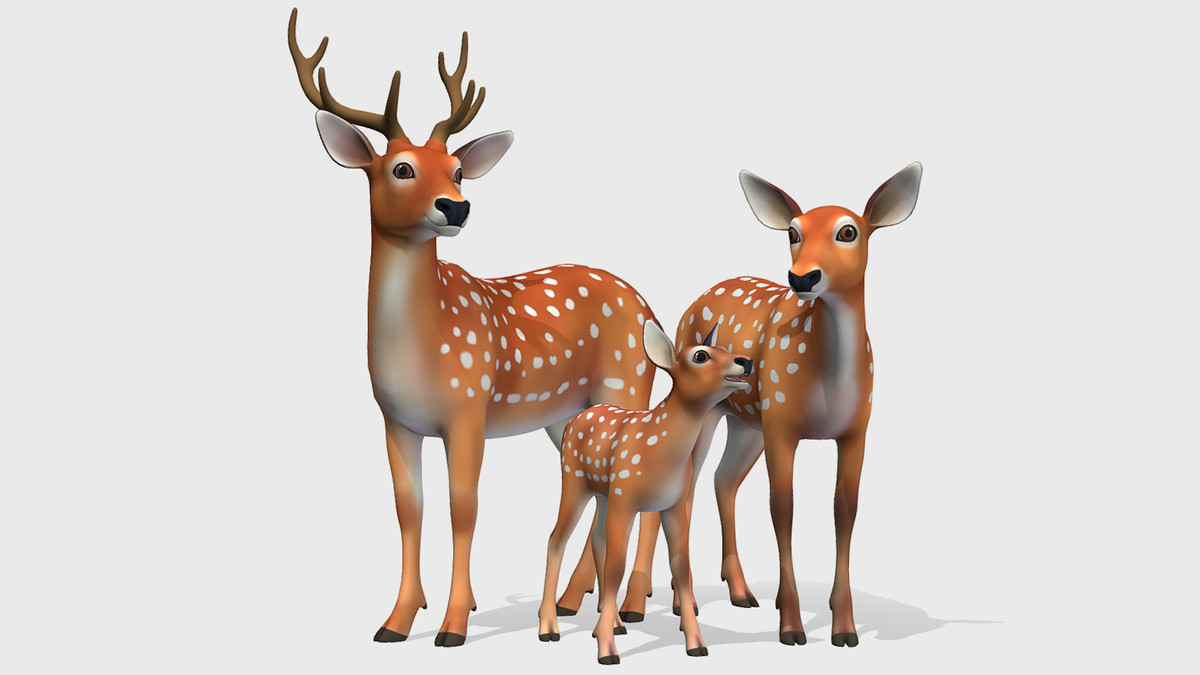 Cartoon - Deer
