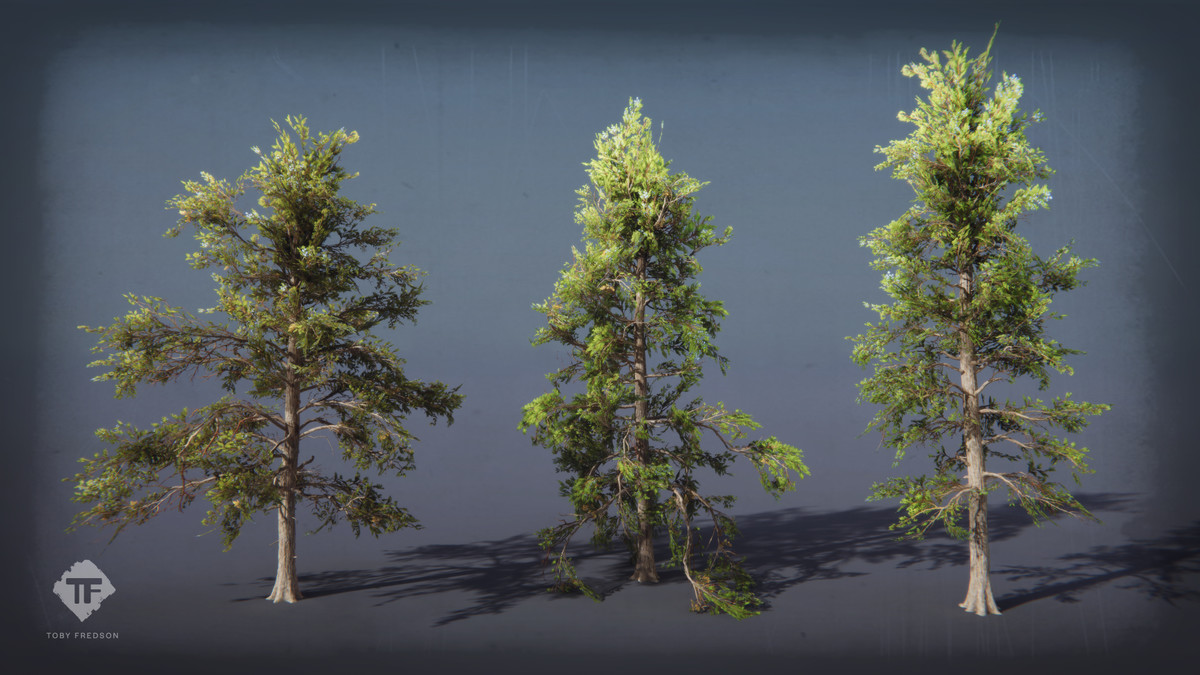 Juniper Pack - Toby Foliage Engine Assets