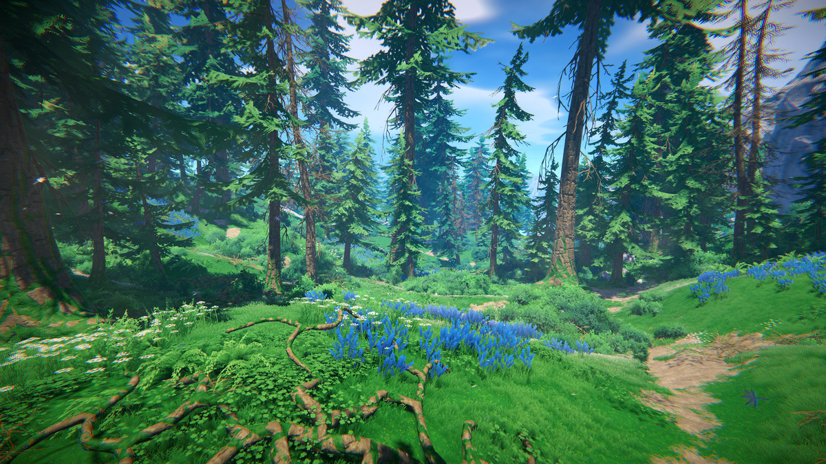 Adventure Nature Vol.7 Spruce Forest