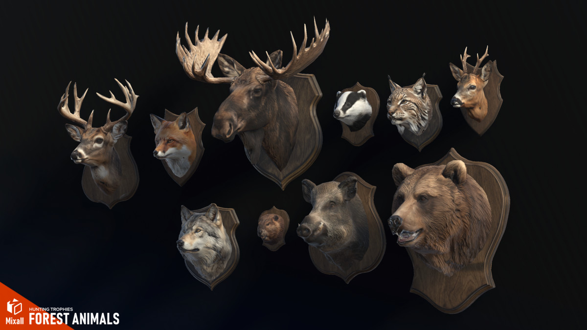 Forest animals – Hunting trophies