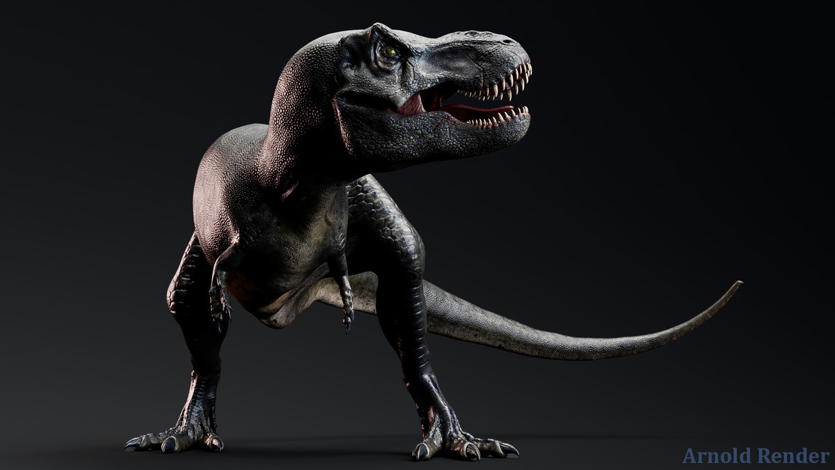 Dinosaur - Sub-Adult TRex