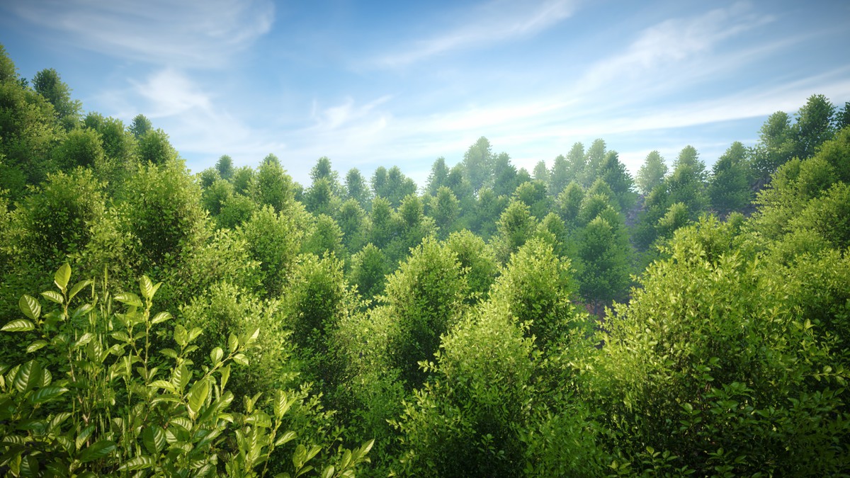 Tree Normal Toolkit (AAA Tree Rendering)