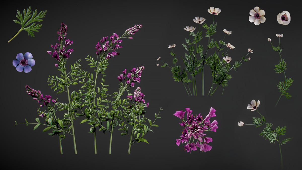 Juniper Pack - Toby Foliage Engine Assets