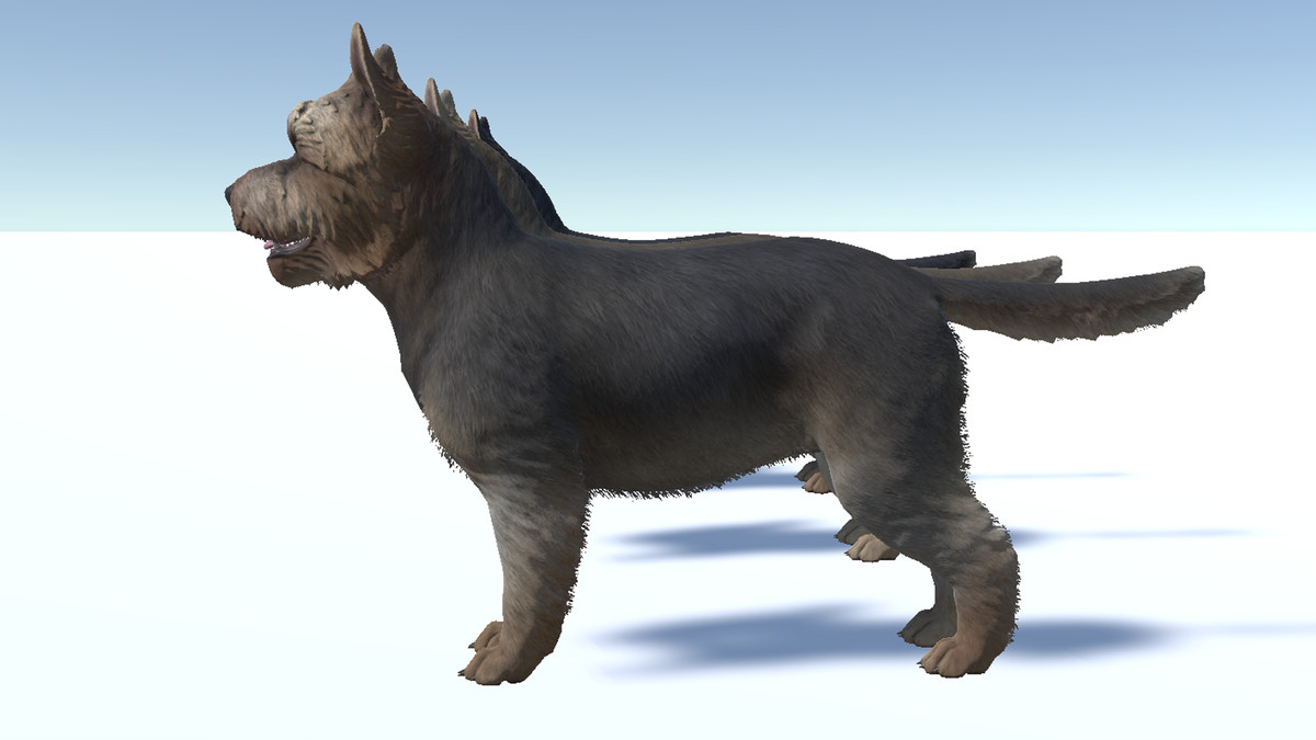 Dog - Yorkshire Terrier