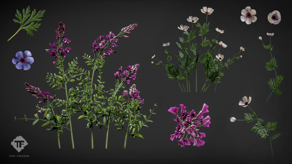 Juniper Pack - Toby Foliage Engine Assets