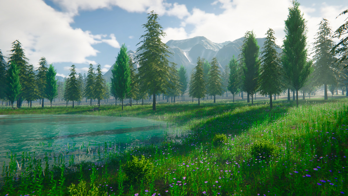 Grass Landscape