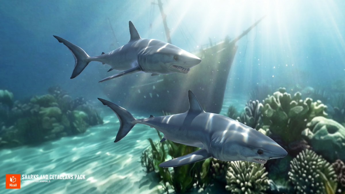 Sharks and Cetaceans Pack