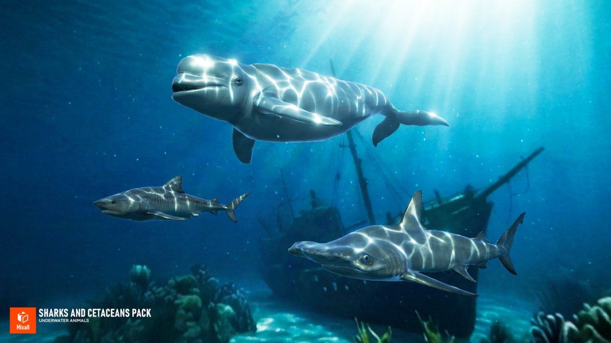 Sharks and Cetaceans Pack