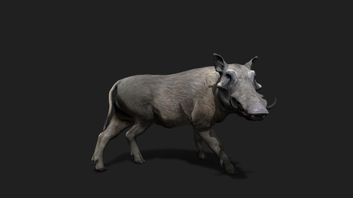 WILDPOLY - Animated Animals – Realistic Pack