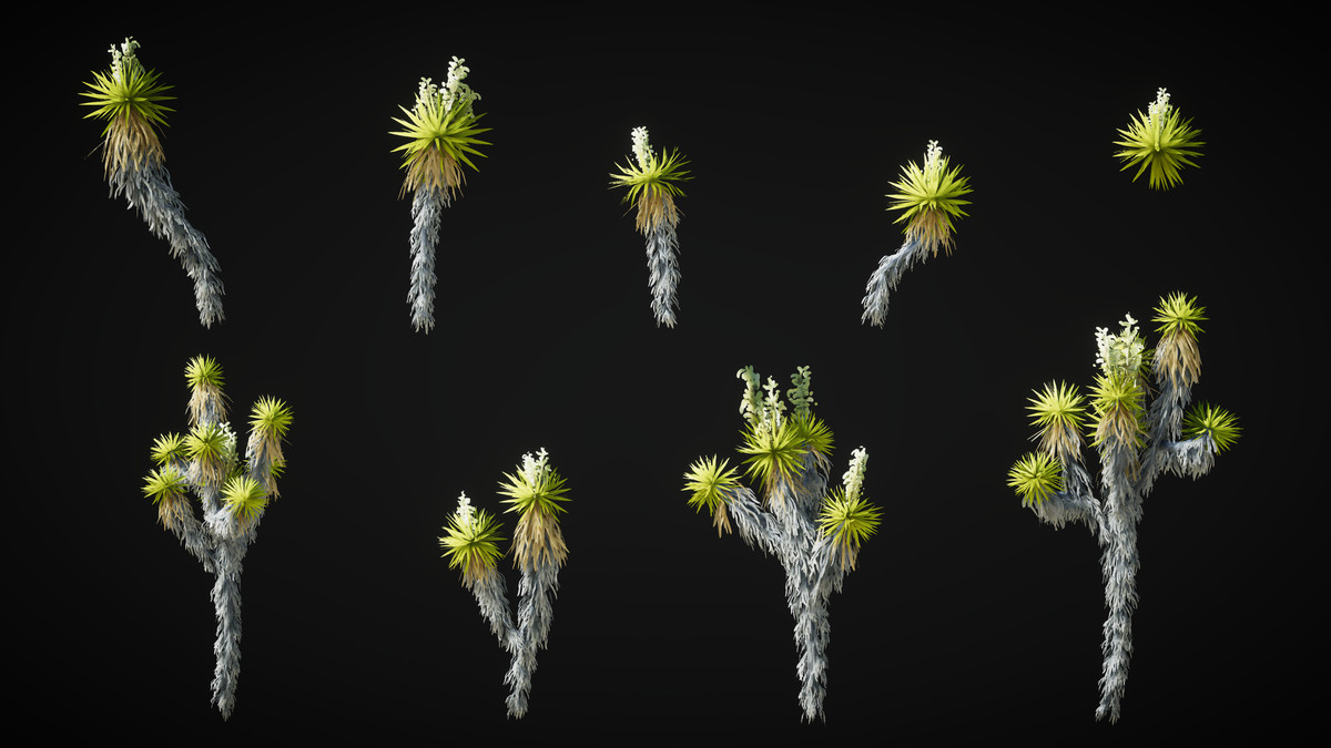 Pure Nature 2 : Mojave Desert