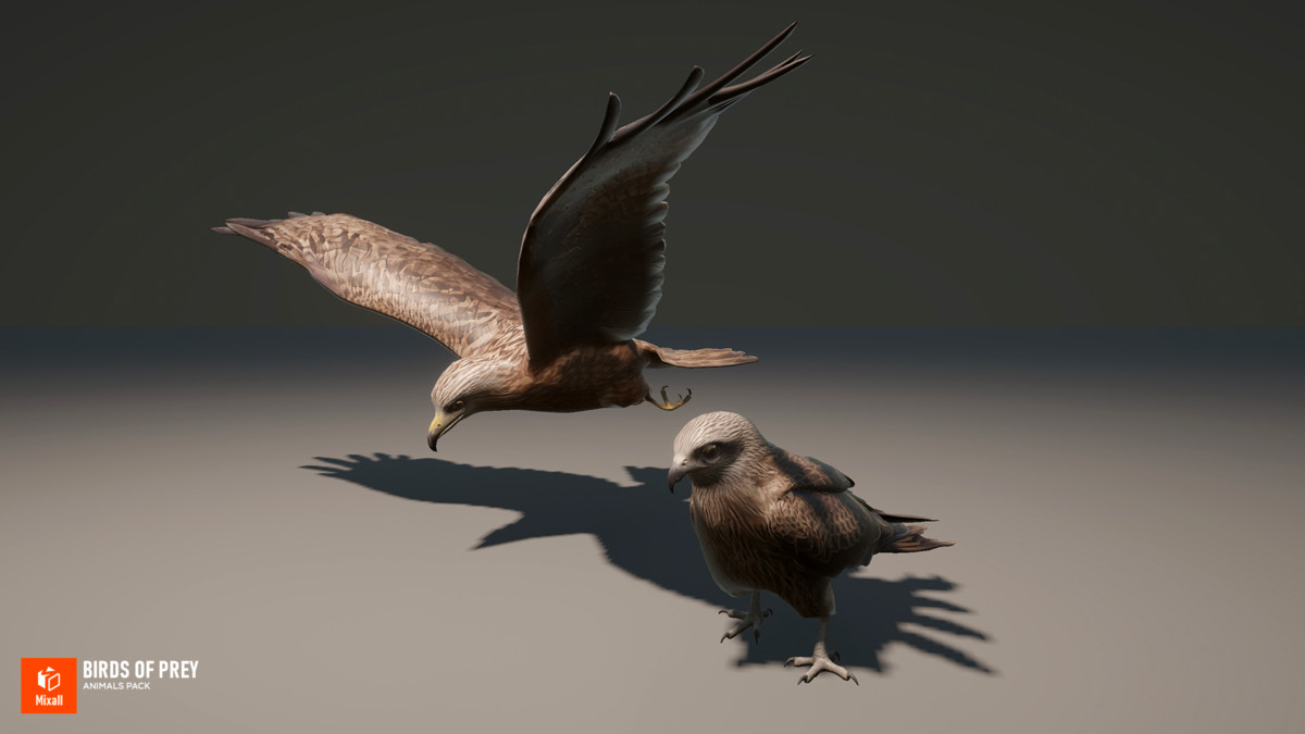 Birds of prey - animals pack