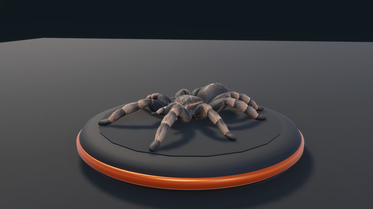 Arachnid Collection — 4 Animated Spiders