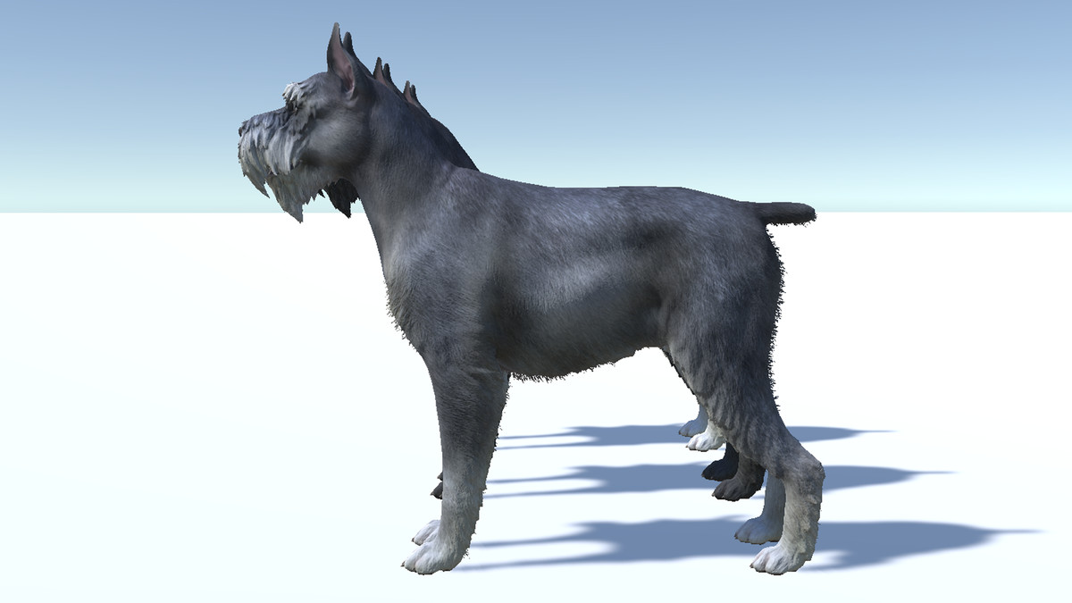 Dog - Schnauzer