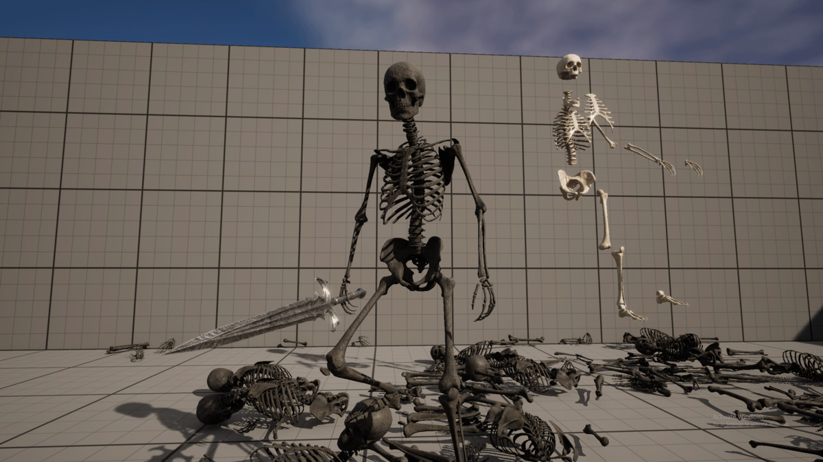 Skeleton Base