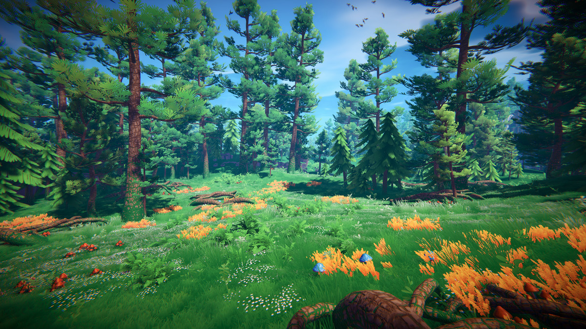 Adventure Nature Vol.6 Forest