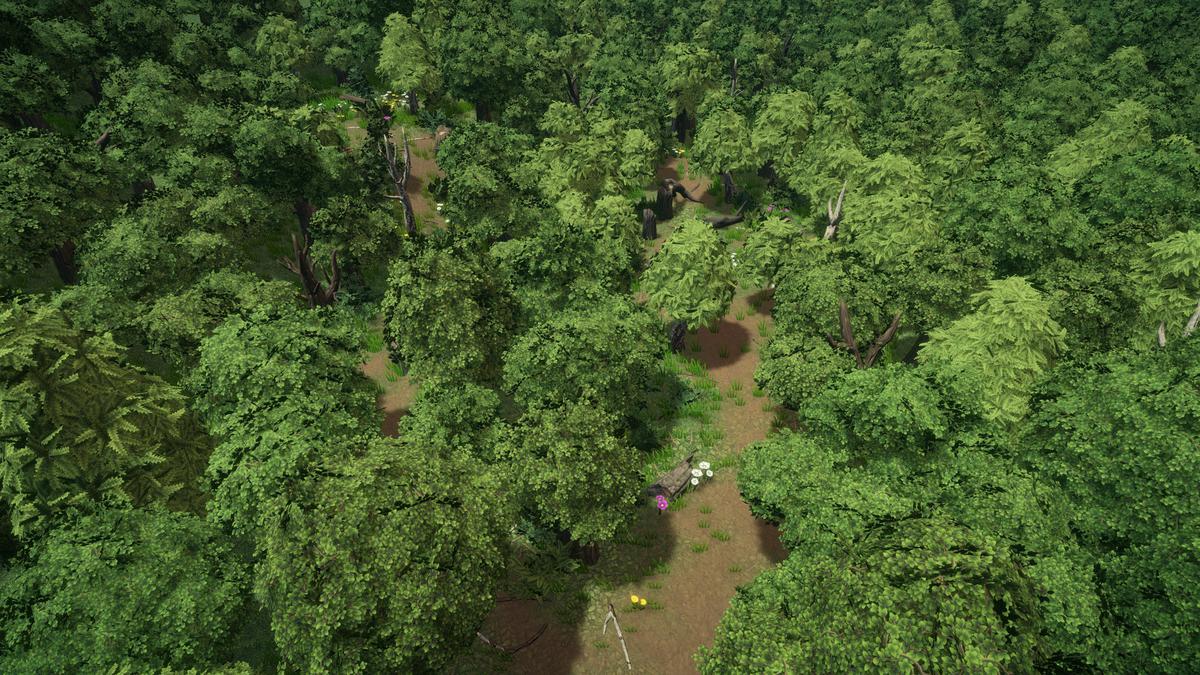 Stylized forest environment