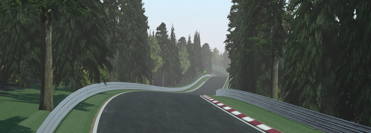 Realistic Race Track Schwarzwald