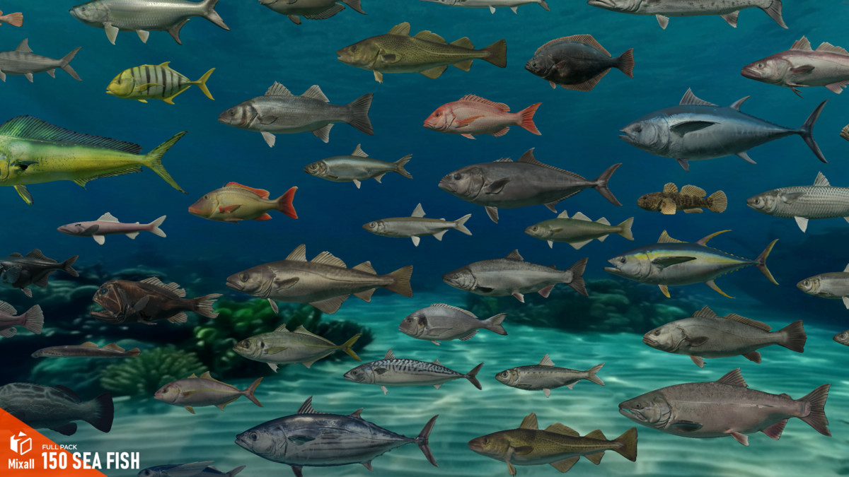 150 Sea fish - Full pack