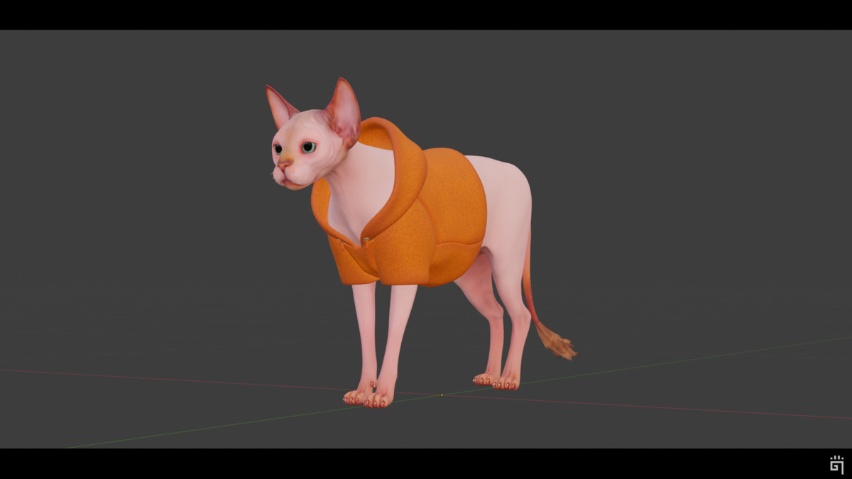 Sphynx Cat