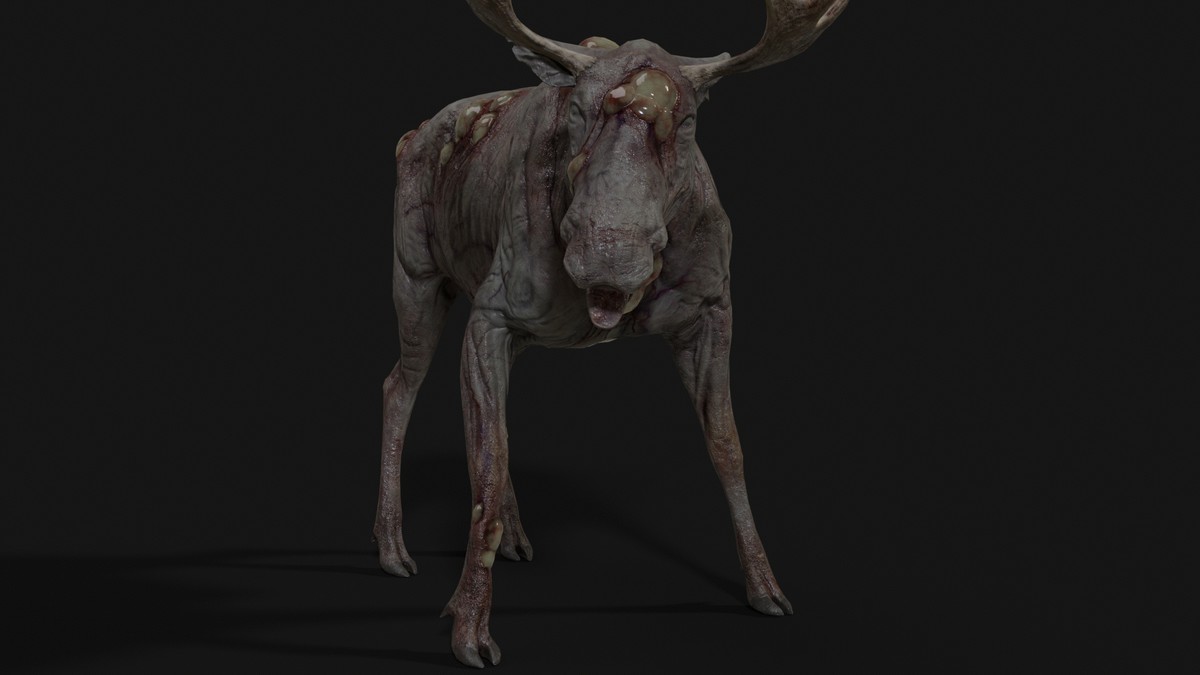 Rot Moose