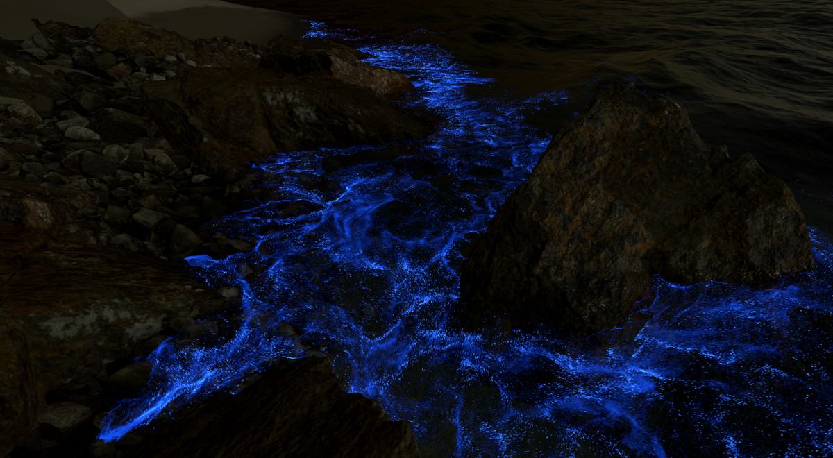 KWS2 Dynamic Water System