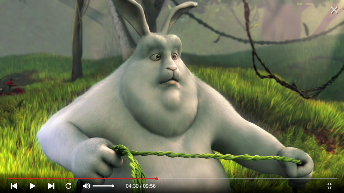 Video Player Cross-Platform