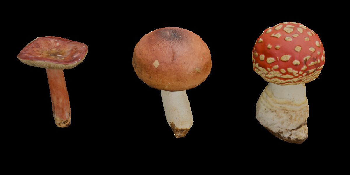Mushrooms Bundle (62 Prefab + LOD)