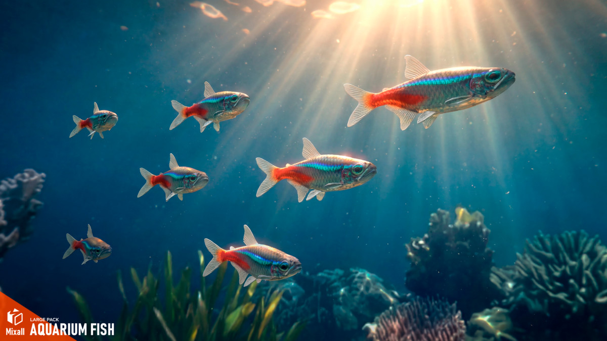 Aquarium fish - large pack