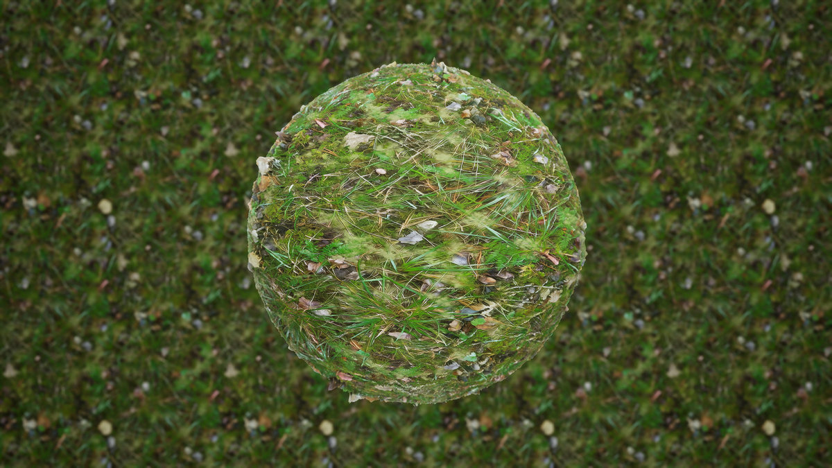 Realistic Materials - Forest Ground 2