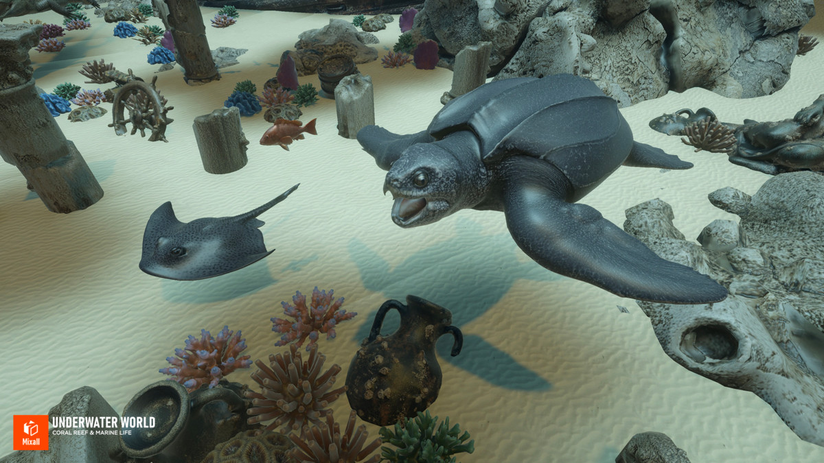 Underwater world - Coral Reef & Marine Life
