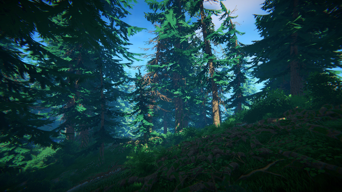 Adventure Nature Vol.7 Spruce Forest