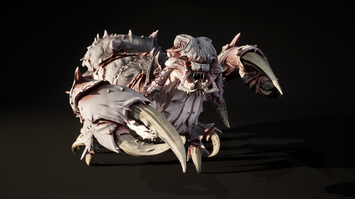 Insect