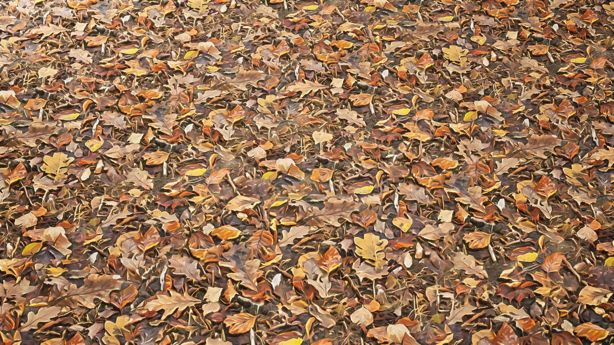 Stylized Materials - Forest Ground 1