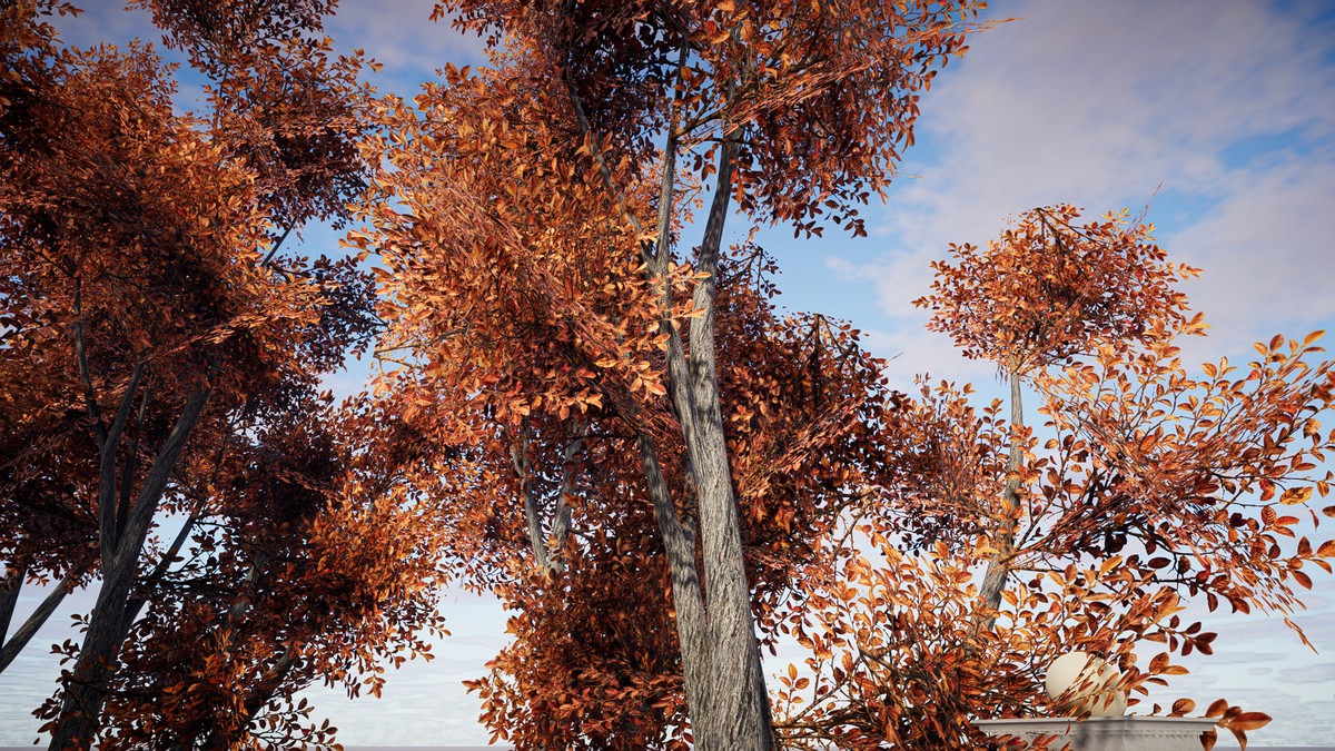 HDRP Tree Bundle 1