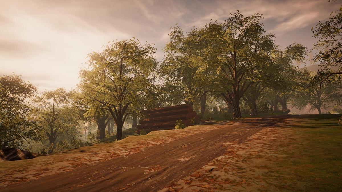 Big Tree Bundle