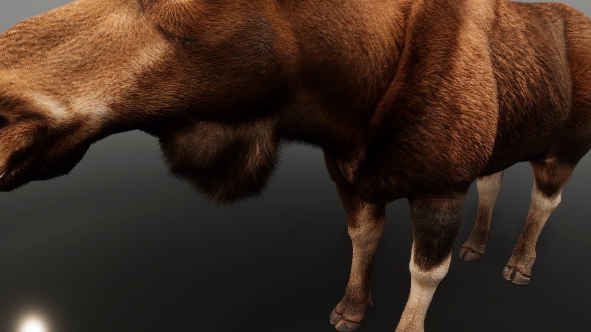 Realistic Deer & Moose – Animated Wildlife Pack