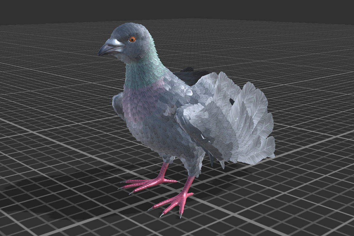 Pigeon Feathered