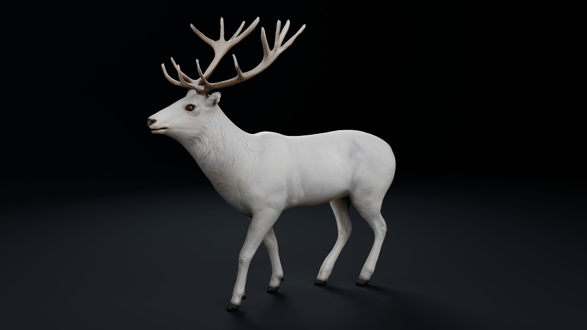 White Deer Stag – Rigged & Animated