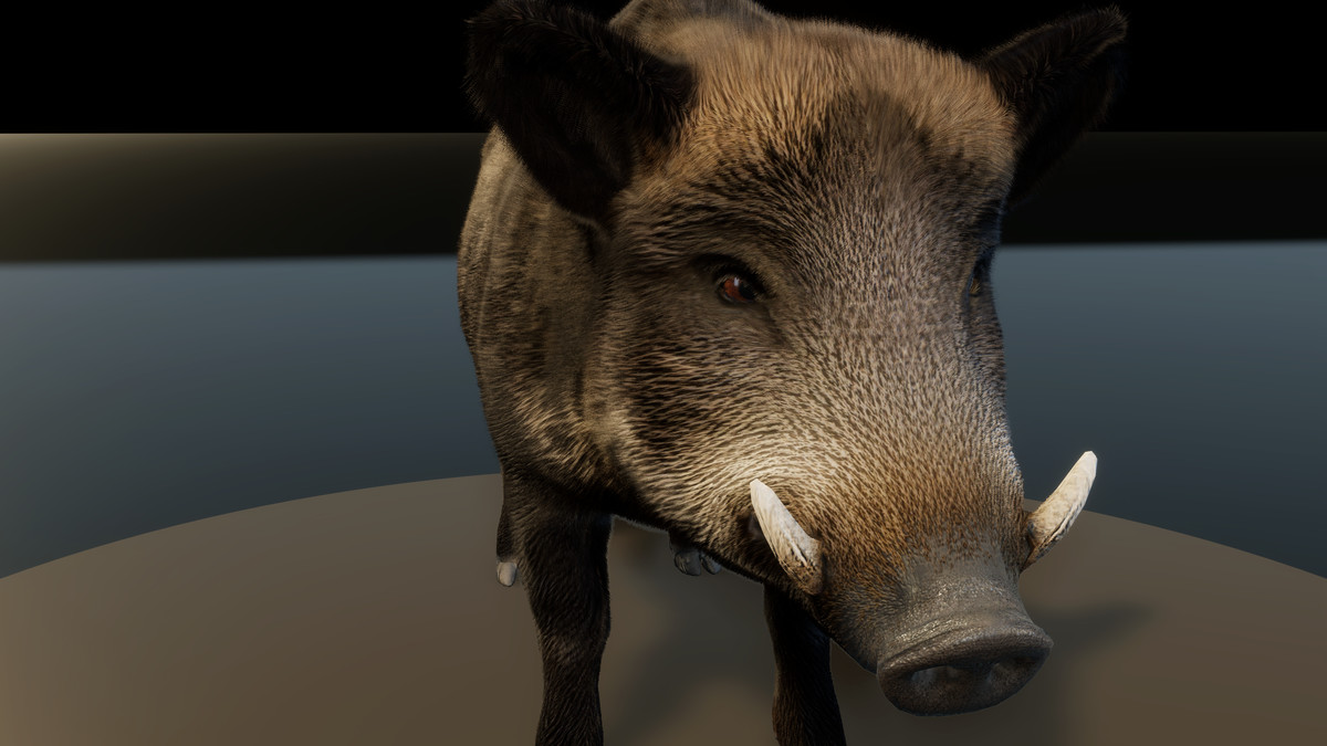 Forest Predators Collection - Realistic Animated Animals