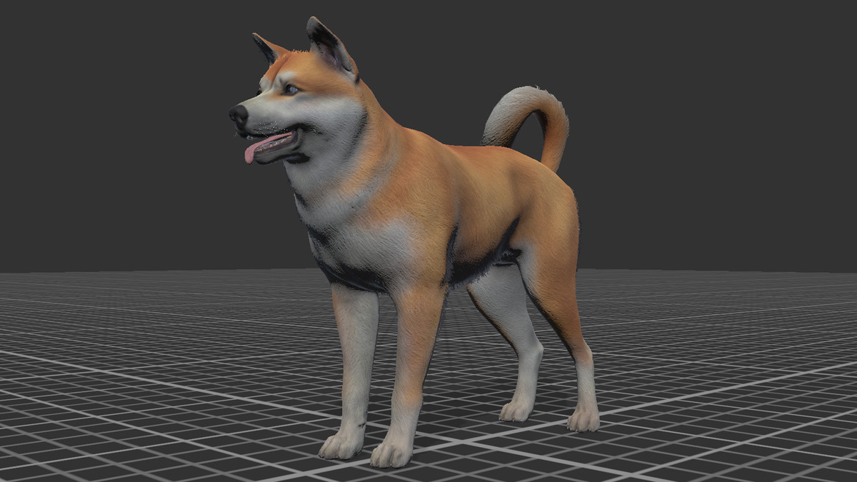 Dog - Akita Inu