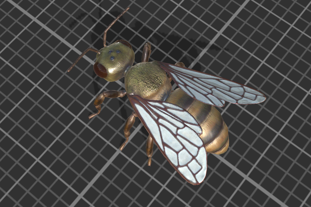 Bee