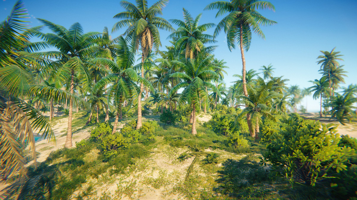 Caribbean Islands