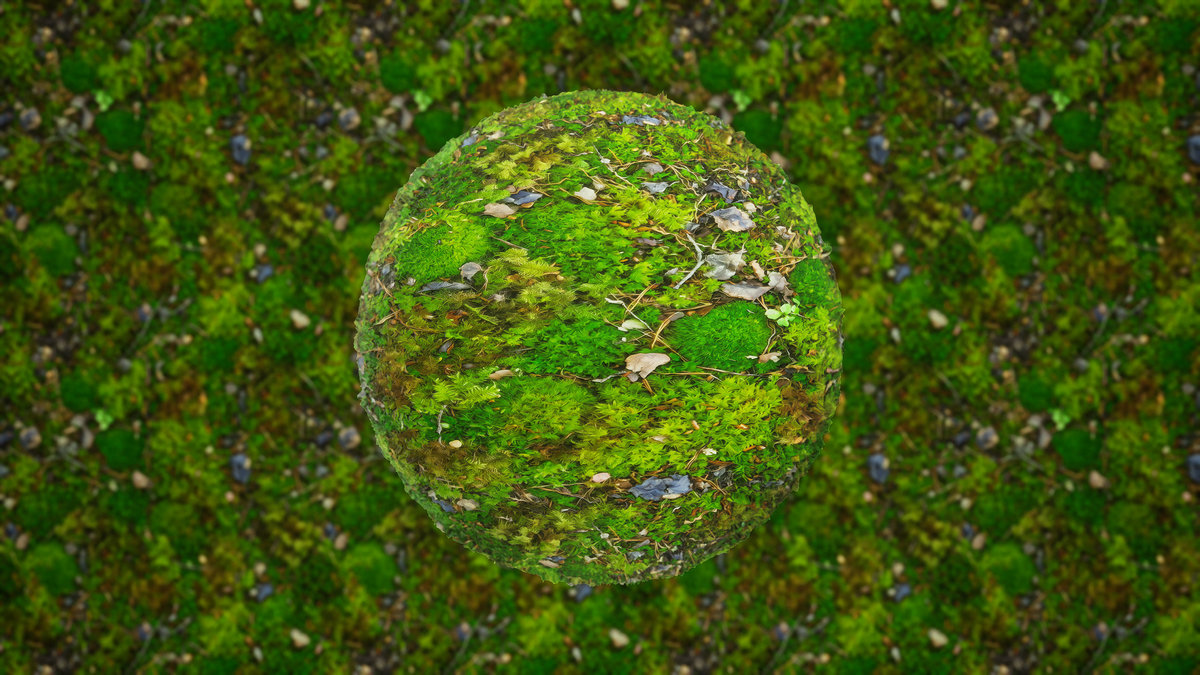 Realistic Materials - Forest Ground 1