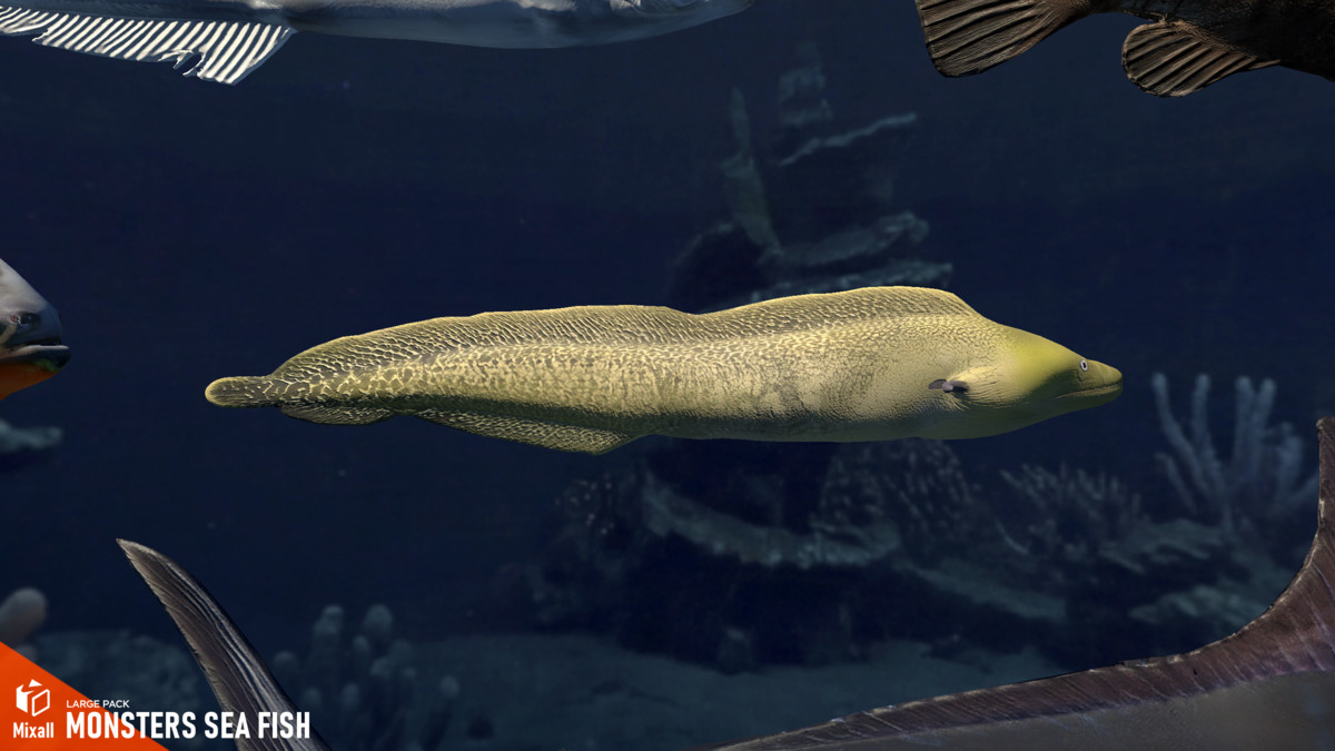 Monsters sea fish - large pack