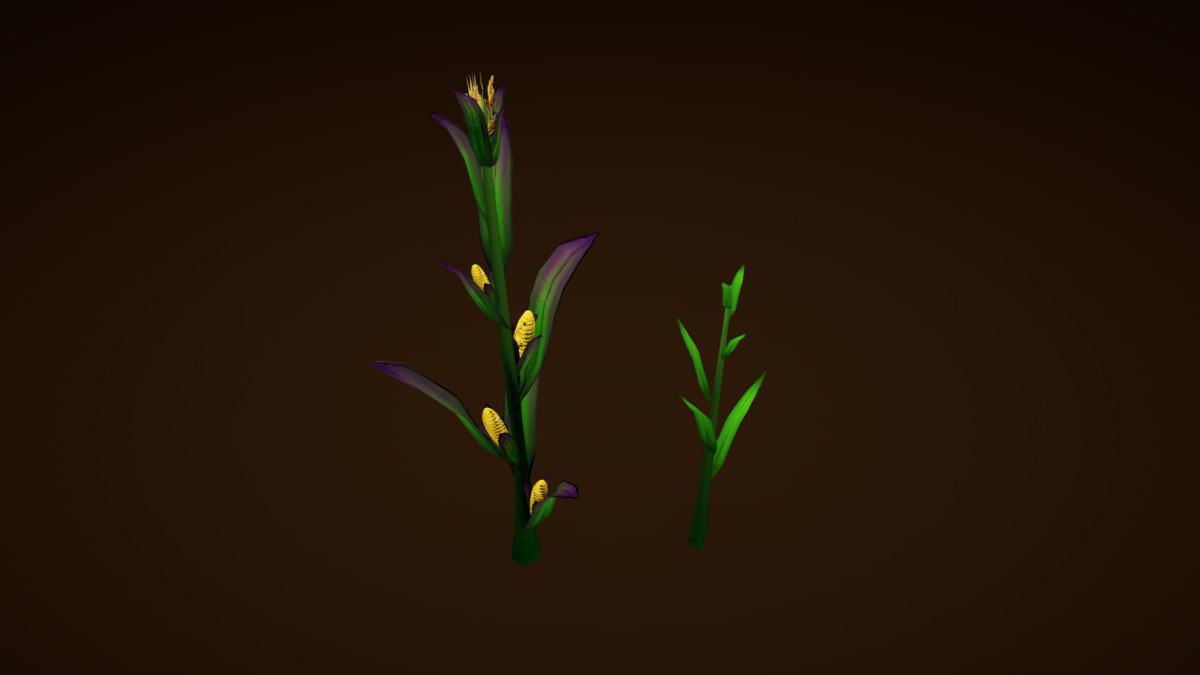 Garden Plants Set