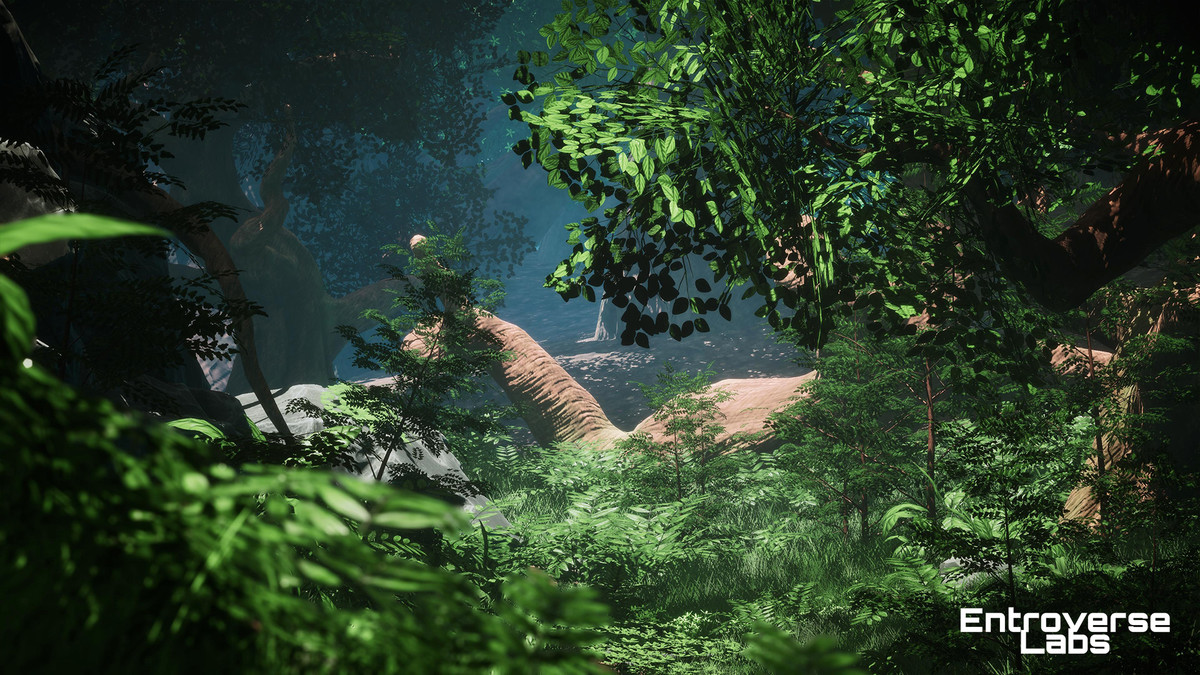 Whispering Grove Environment