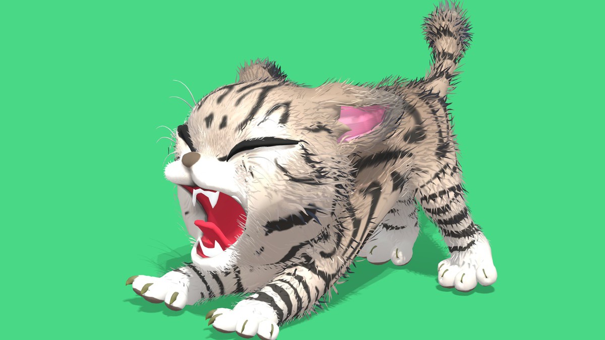 Cute Cat