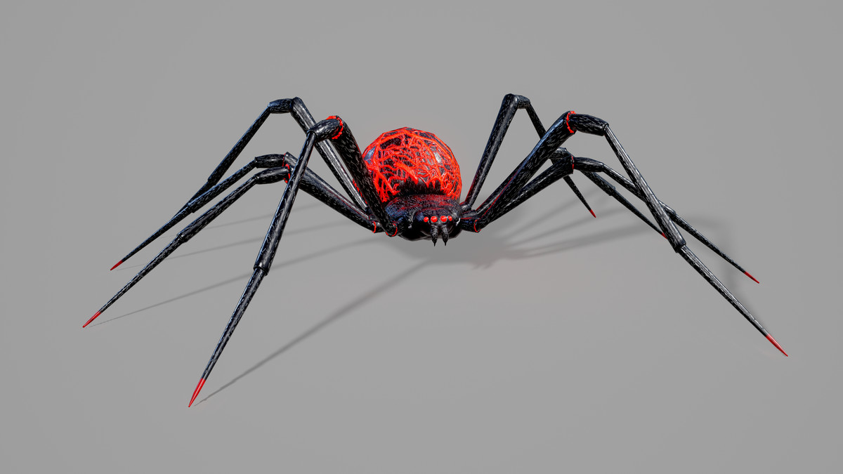 Stylized Spider Creatures Pack