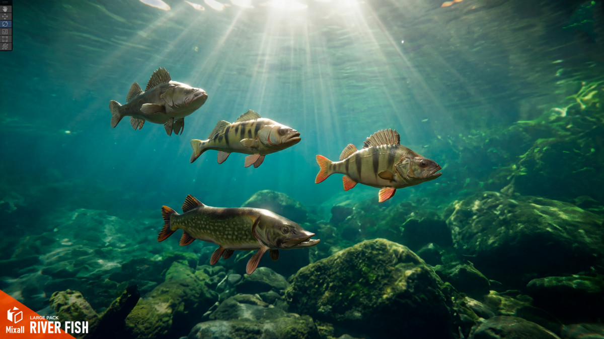 River fish - large pack